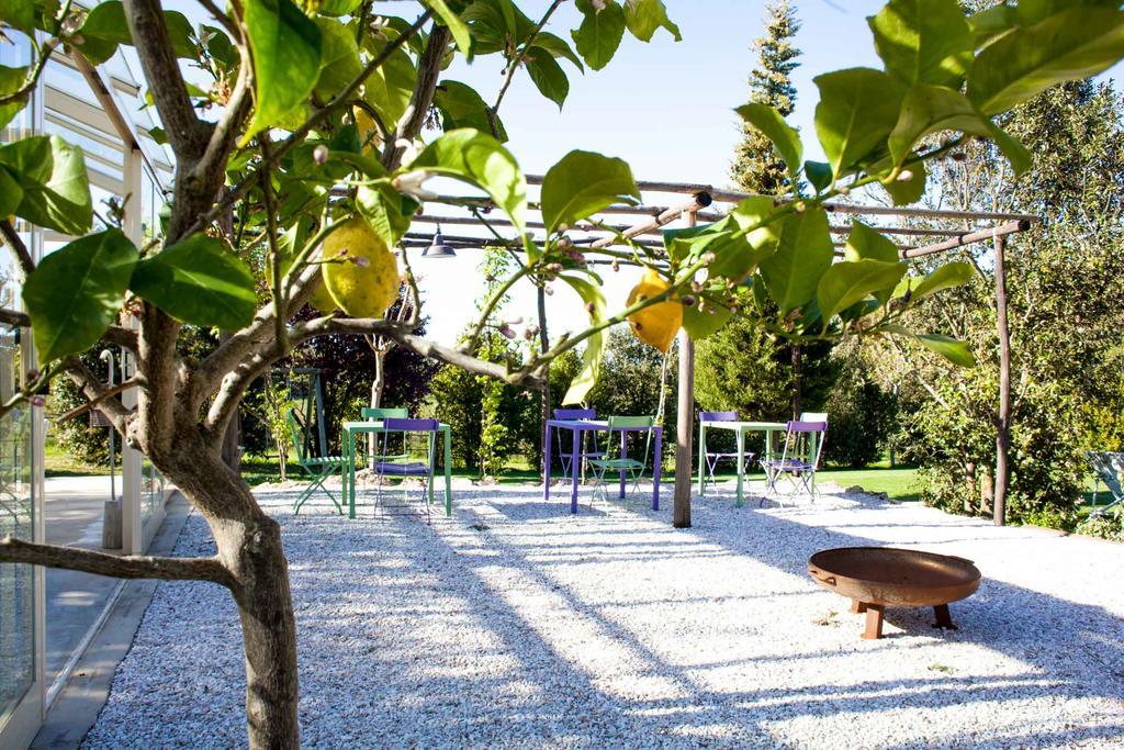 Agriturismo Humile Chianciano Terme Buitenkant foto